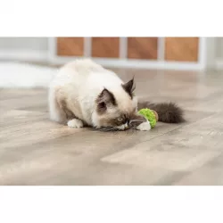 Matatabi lolly XXL - lízátko s catnipem, 13.5 cm TRIXIE