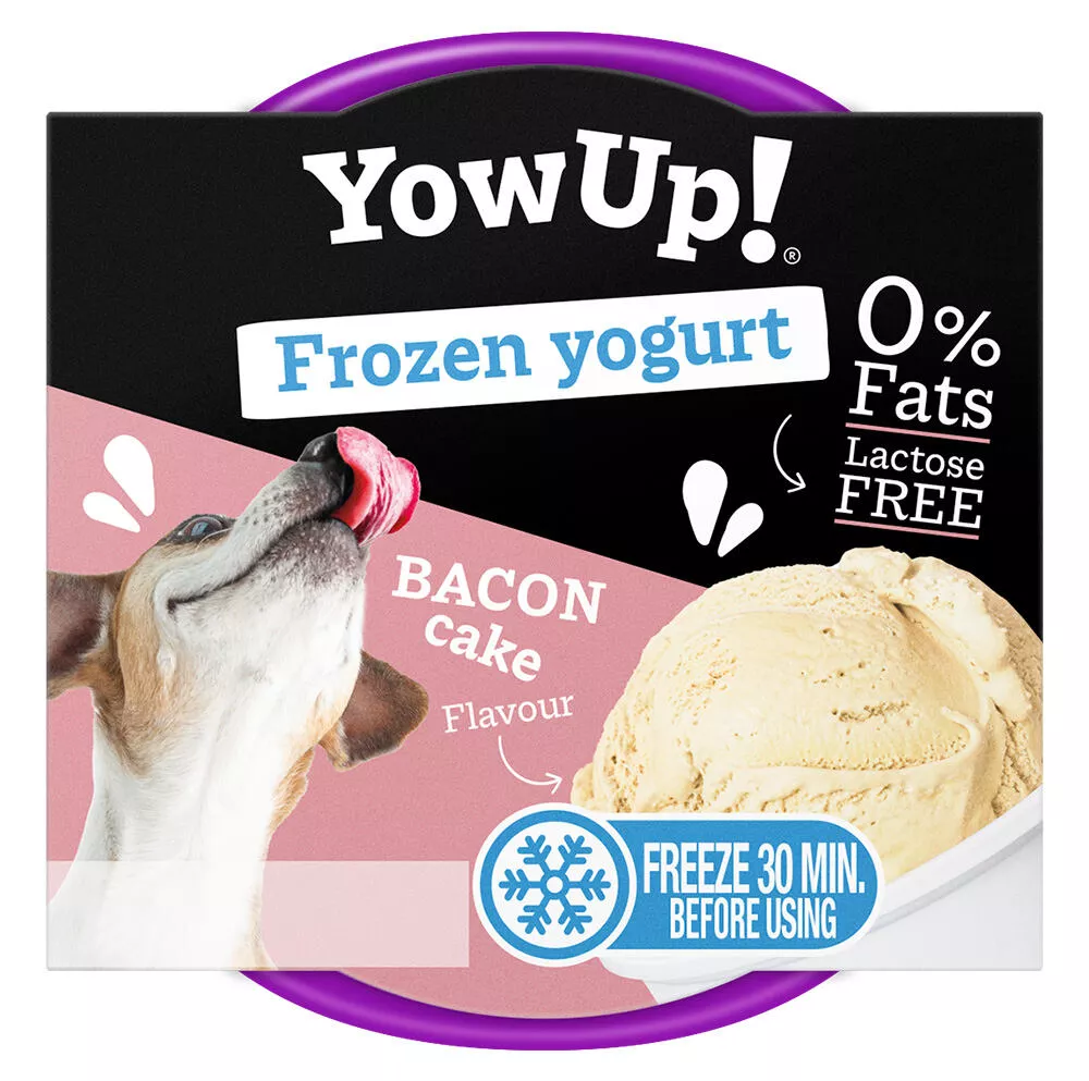 YOWUP Frozen Yoghurt - zmrzlinový jogurt s příchutí slaniny 110 g Dairy pet Yow Up!