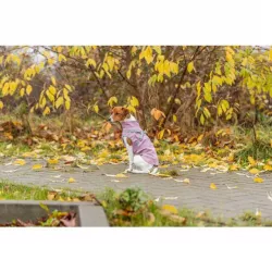 Pláštěnka PONTIS - vesta s postrojem, růžová S: 33cm, hruď: 46-54cm, krk: 37cm TRIXIE