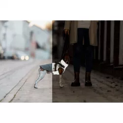 Reflexní obleček PONTIS - vesta s postrojem, šedá XXS: 24cm, hruď: 37-41cm, krk: 27cm TRIXIE
