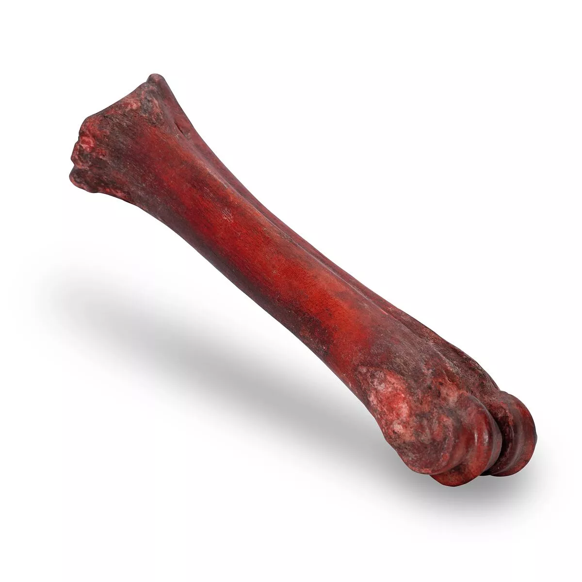 KIDDOG 100 % Natural Snack, hovězí uzená holenní kost - 1 ks / 20-24 cm
