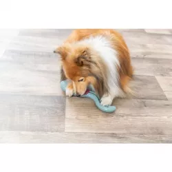 Had z TPR gumy, na pamlsky a pastu 42 cm TRIXIE