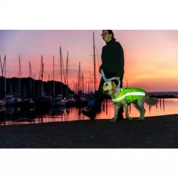 Bezpečnostní vesta, reflexní, M: 50 cm, neon žlutá TRIXIE