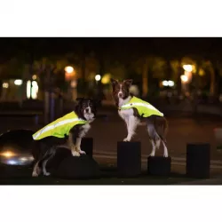 Bezpečnostní vesta, reflexní, L: 60 cm, neon žlutá TRIXIE