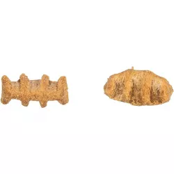 Fish Bones, rybí kostičky s kuřecími prsy a lososem, 50 g TRIXIE