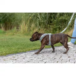 FlexMesh Premium postroj, široký střih, šalvějová L: 63-92 cm/ 25 mm TRIXIE