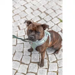 FlexMesh Premium postroj, široký střih, šalvějová L: 63-92 cm/ 25 mm TRIXIE