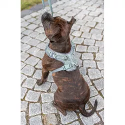 FlexMesh Premium postroj, široký střih, šalvějová L: 63-92 cm/ 25 mm TRIXIE