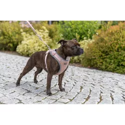 FlexMesh Premium postroj, široký střih, tělová S-M: 48-69 cm/ 20 mm TRIXIE