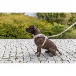 FlexMesh Premium postroj, široký střih, tělová S-M: 48-69 cm/ 20 mm TRIXIE
