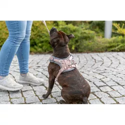 FlexMesh Premium postroj, široký střih, tělová S-M: 48-69 cm/ 20 mm TRIXIE