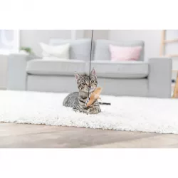 Hrací prut se srdíčkem, peříčko, catnip, 50 cm, plyš/dřevo TRIXIE