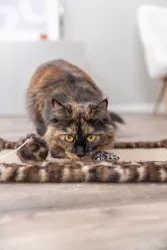 Hrací prut se srdíčkem, peříčko, catnip, 50 cm, plyš/dřevo TRIXIE