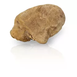 KIDDOG SUPER PREMIUM 100% kachní srdíčka sušená mrazem 50 g KIDDOG SUPER PREMIUM 100% kachní srdíčka sušená mrazem 50 g
