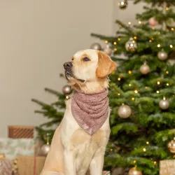 Vánoční hebký šátek, plyš, starorůžová 55cm TRIXIE