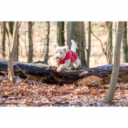 Pláštěnka VIMY M 50cm - červená TRIXIE