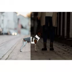 Reflexní obleček PONTIS - vesta s postrojem, šedá XXS: 24cm, hruď: 37-41cm, krk: 27cm TRIXIE