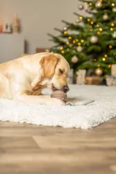 Vánoční zvonek na pamlsky, na laně, ø 12/36 cm, tvrdá guma/bavlna, starorůžová TRIXIE