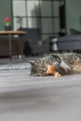 Dráček, plyšová hračka s catnipem, 20 cm, různé barvy TRIXIE
