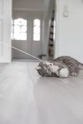 Hrací prut s bambulkami a catnipem, 35 cm
