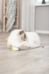 Ježaté kuličky mechová guma 3,5 cm 4ks TRIXIE
