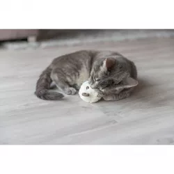 Plyšový méďa - hlava, s catnipem, 8 cm, různé barvy TRIXIE