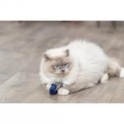 Sea Animal - mořská zvířátka s catnipem, 5-8 cm, různé druhy TRIXIE