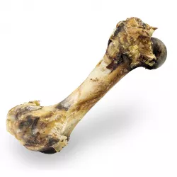 Šunková kost přírodní sušená 20 cm / 280 g