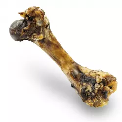 Šunková kost přírodní sušená 20 cm / 280 g