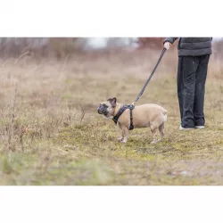 FlexMesh Premium postroj, široký střih, petrolejová XS-S: 40-57 cm/ 15 mm TRIXIE