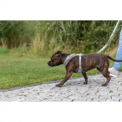 FlexMesh Premium postroj, široký střih, šalvějová L: 63-92 cm/ 25 mm TRIXIE
