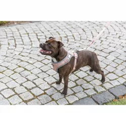 FlexMesh Premium postroj, široký střih, tělová S-M: 48-69 cm/ 20 mm TRIXIE