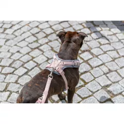 FlexMesh Premium postroj, široký střih, tělová S-M: 48-69 cm/ 20 mm TRIXIE