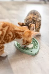 Lick’n'Snack RYBA - podložka k pomalému krmení, 28 cm, šalvějová TRIXIE