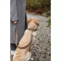Obojek PURE kožený, hnědá L: 47-54 cm/ 40 mm TRIXIE