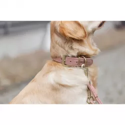 Obojek PURE kožený, růžová L-XL: 52-63 cm/ 40 mm TRIXIE