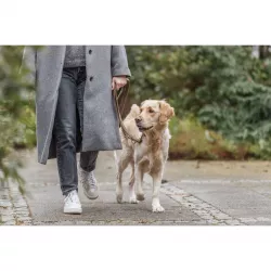 Vodítko PURE kožené nastavitelné, hnědá L-XL: 2 m/ 25 mm TRIXIE
