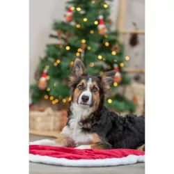Xmas NEVIO oválná vánoční podložka, 98 x 58 cm, červená/bílá TRIXIE