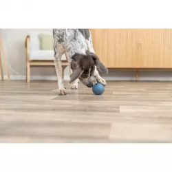TRIXIE Labyrint-Snacky míč na pamlsky tvrdá guma 7cm TRIXIE Labyrint-Snacky míč na pamlsky tvrdá guma 7cm