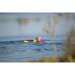 Life Vest plavací vesta pro psa XS 28 cm: 30-50 cm, do 12kg žluto/černá TRIXIE