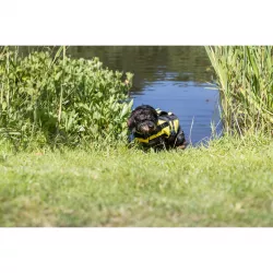 Life Vest plavací vesta pro psa XS 28 cm: 30-50 cm, do 12kg žluto/černá TRIXIE