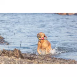 Aqua Toy Lighthouse - maják, plovoucí hračka, TPR 26 cm TRIXIE