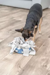 Dog Activity Hide'n'Sniff Bowl, miska k ukrytí pamlsků, ø 18 cm TRIXIE