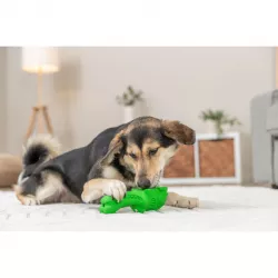 DOG ACTIVITY krokodýl na pamlsky, 12 cm, přírodní guma, zelená TRIXIE