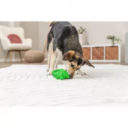 DOG ACTIVITY krokodýl na pamlsky, 12 cm, přírodní guma, zelená TRIXIE