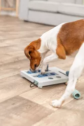 Dog Activity - MINI MOVER 25 x 20 cm TRIXIE Dog Activity - MINI MOVER 25 x 20 cm TRIXIE