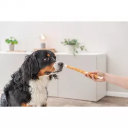 DENTAfun-tyčinka svázaná kuřecím masem 3ks, 28cm/250g TRIXIE
