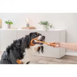 DENTAfun-tyčinka svázaná kuřecím masem 3ks, 28cm/250g TRIXIE