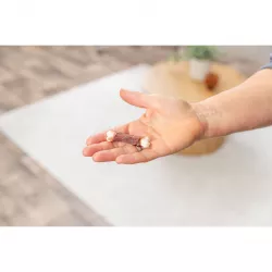 Premio DUCKIES kosti s vápníkem potažené kachním masem 100g TRIXIE