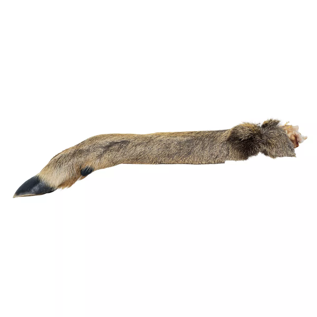 Srnčí nožka s kožešinou - 1 ks / 30 cm KidDog